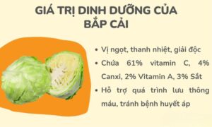 DINH DƯỠNG CỦA BẮP CẢI