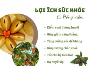 Lợi ích khi ăn quả hồng xiêm