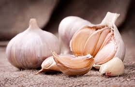 tói chứa allicin giúp bảo vệ gan hiệu quả