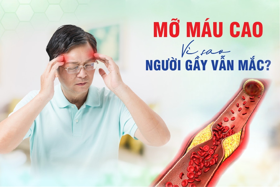 VÌ SAO NGƯỜI GẦY CŨNG BỊ MỠ MÁU