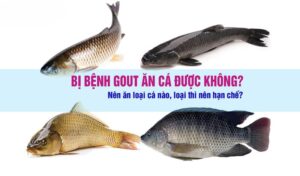benh-gout-an-ca-moi-duoc-khong