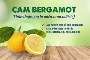 cam bergamot ho tro lam sach mach mau