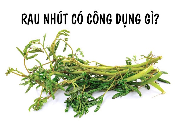 công dụng của rau rút
