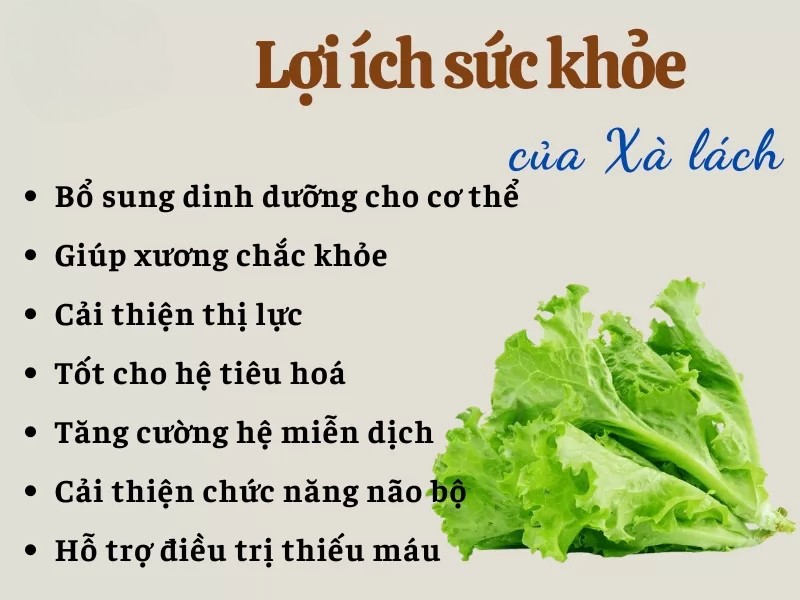 cong-dung-cua-rau-xa-lach