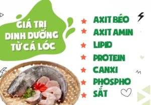 giá trị dinh dưỡng của cá lóc