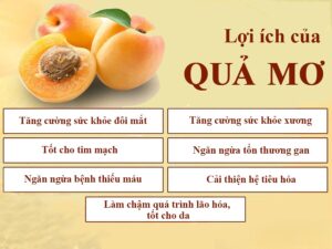 loi-ich-cua-qua-mo
