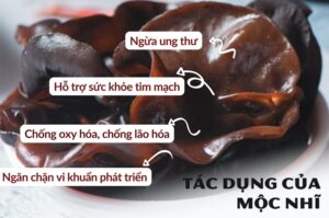 Mộc nhĩ - Dr Trang