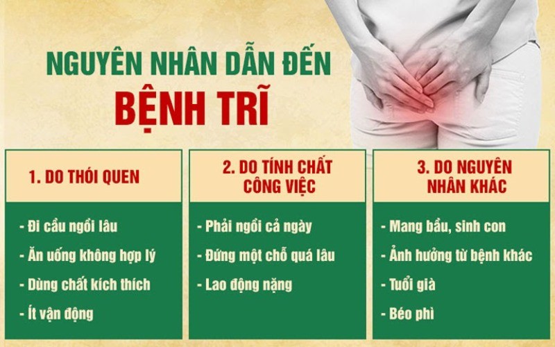 nguyen nhan gay benh tri