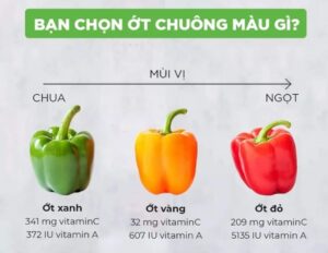 ớt chuông