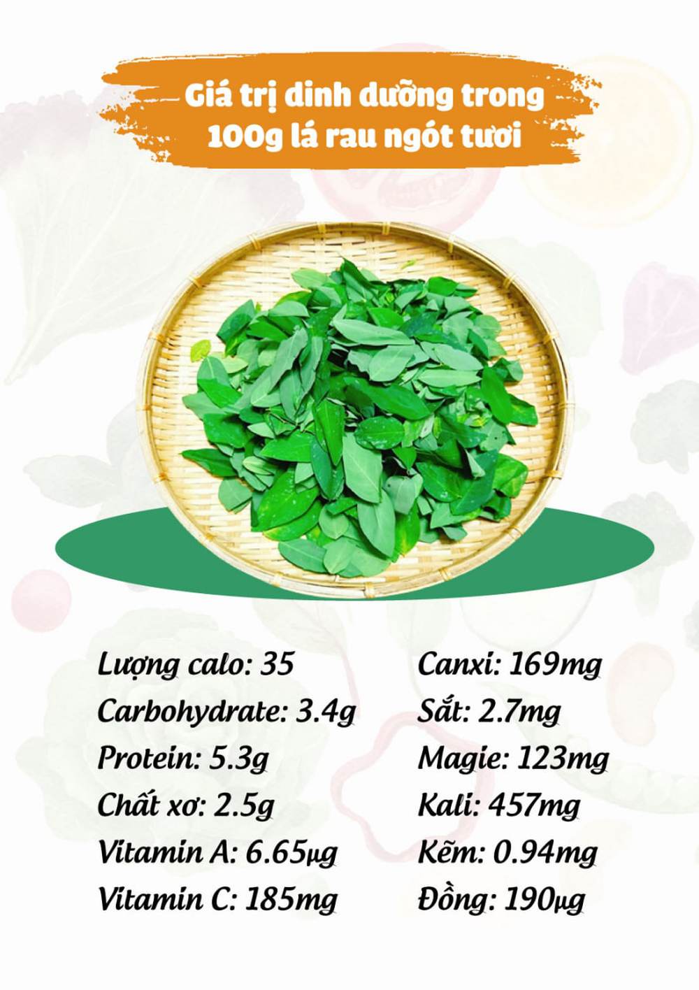 Ăn rau ngót có tác dụng gì? 9 lợi ích tuyệt vời không nên bỏ qua - Dr Trang