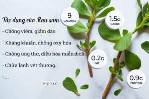 Rau Sam - Dr Trang