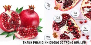 thanh-phan-dinh-duong-trong-qua-luu