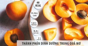 thanh-phan-dinh-duong-trong-qua-mo-Dr-Trang