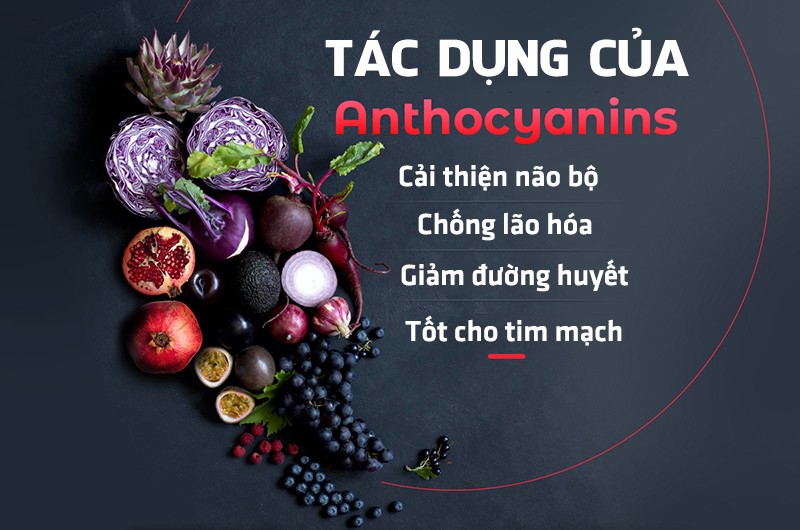 Nhóm thực phẩm màu đen - dr Trang