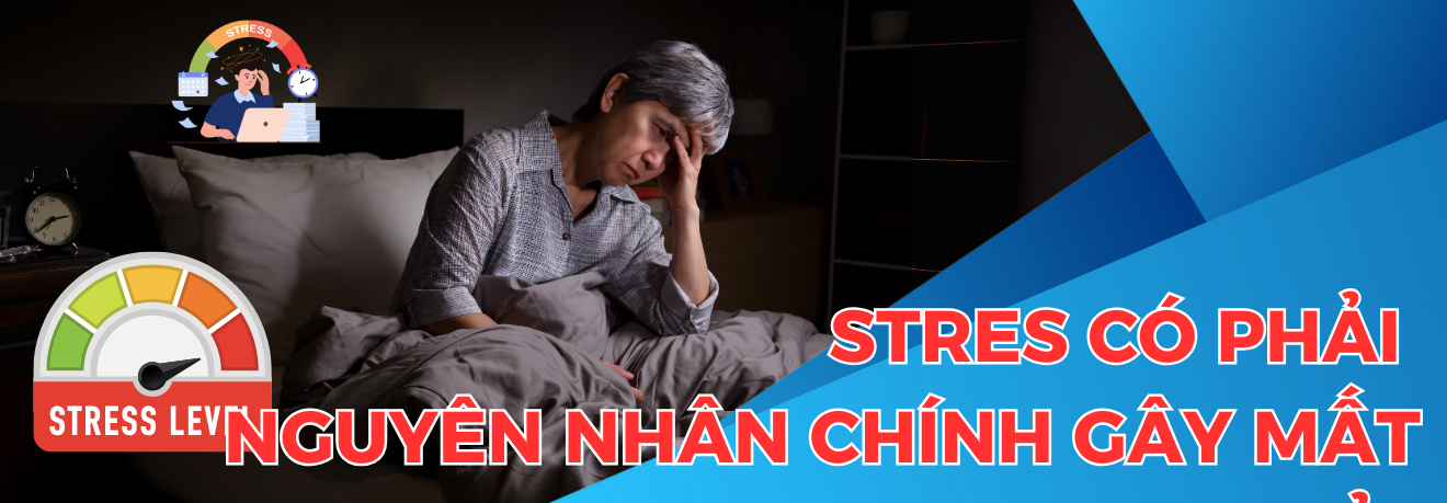 Stress gây mất ngủ - Dr Trang