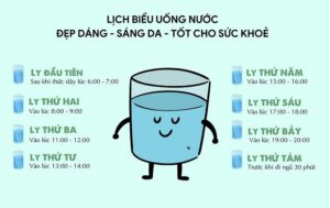 lich-uong-nuoc-moi-ngay