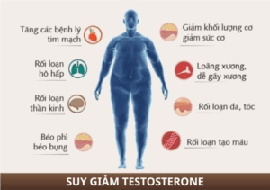 SUY GIẢM TESTOSTERONE
